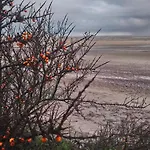 Aux 10 Ponts - Aux Abords Du Fleuve La Somme - La à 30 Min - La Nuit Pour 6 Voyageurs *