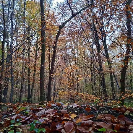 Aux 10 Ponts Maison Spacieuse Et Conviviale Au Bord De La Somme La A 30 Min 6 Personnes Tatil Evi Pont-Rémy