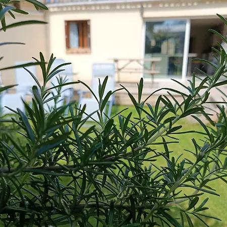 Tatil Evi Aux 10 Ponts Maison Spacieuse Et Conviviale Au Bord De La Somme La A 30 Min 6 Personnes *