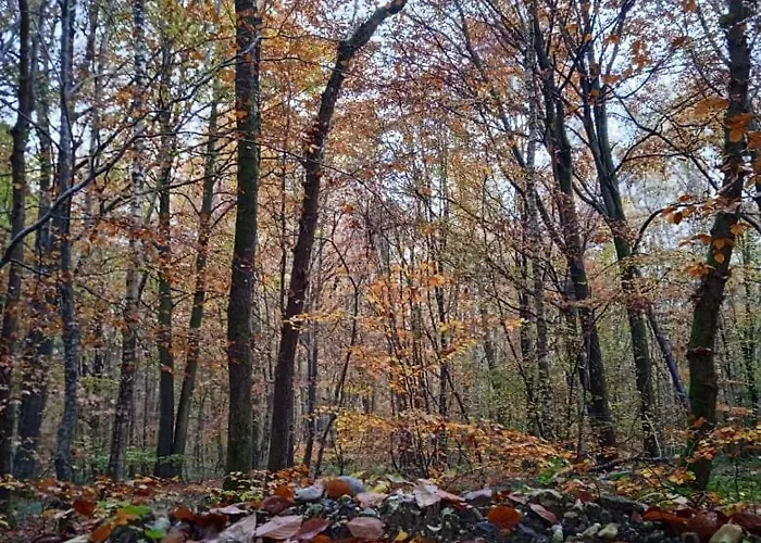 Aux 10 Ponts Maison Spacieuse Et Conviviale Au Bord De La Somme La A 30 Min 6 Personnes Holiday home Pont-Remy