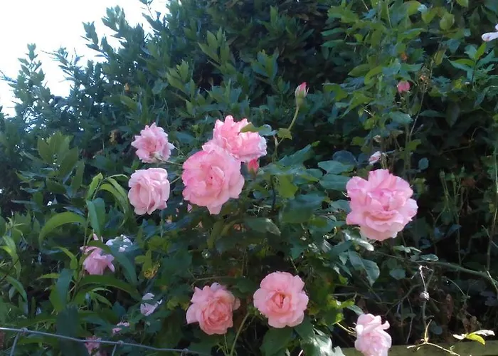 Holiday home Aux 10 Ponts Maison Spacieuse Et Conviviale Au Bord De La Somme La A 30 Min 6 Personnes